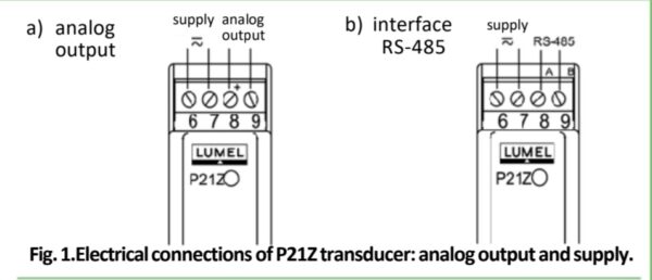 Kết nối điện của P21Z-đầu ra và nguồn cung cấp analog.