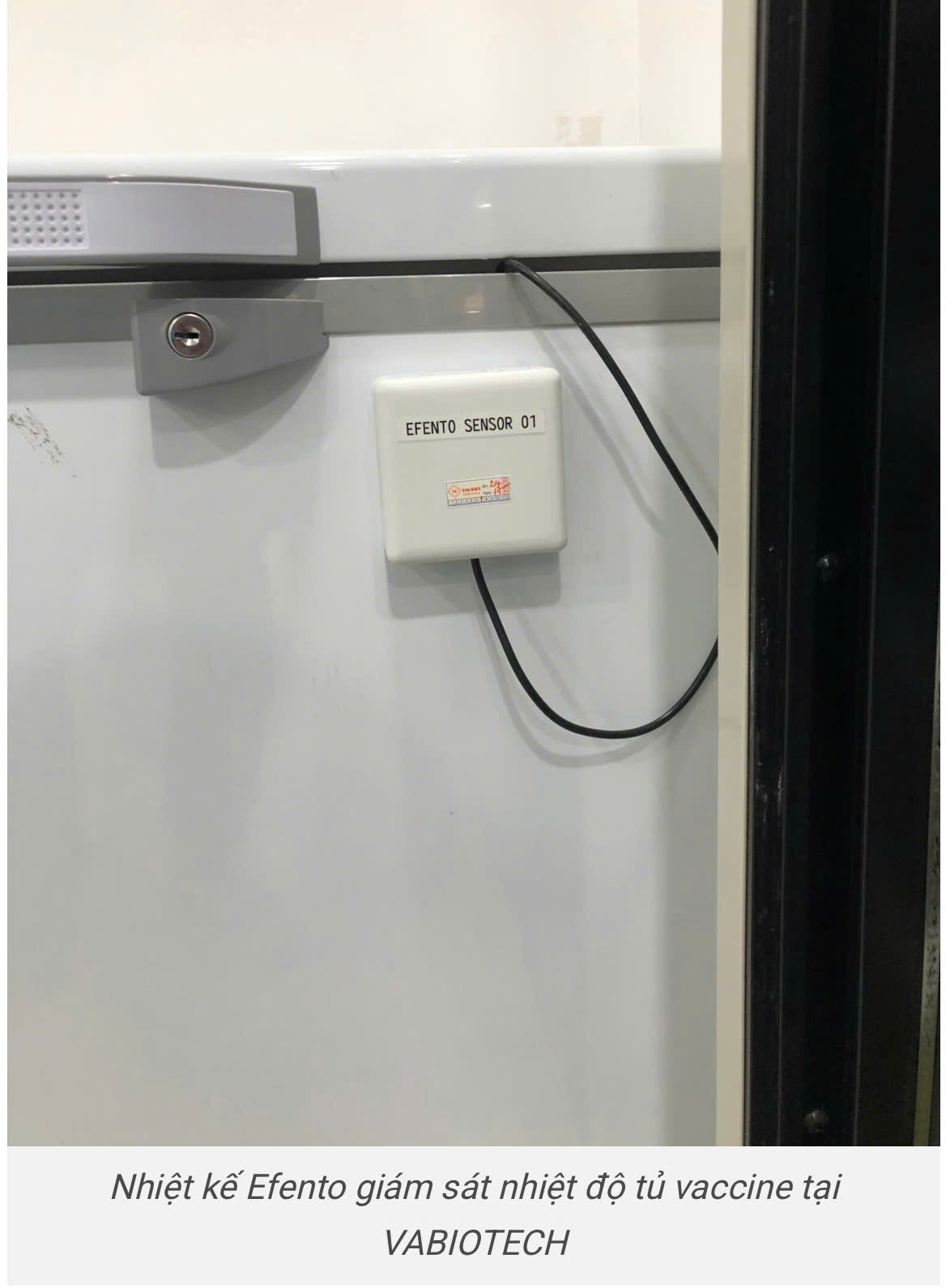 Nhiệt kế Efento tại Công ty Vabiotech